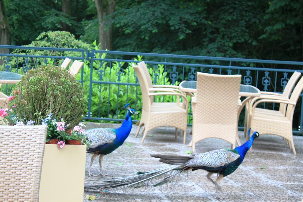 Akzent Hotel Hoxberg Беккум Екстер'єр фото